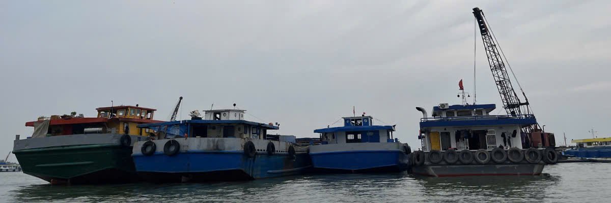 CatVinhXuong.com